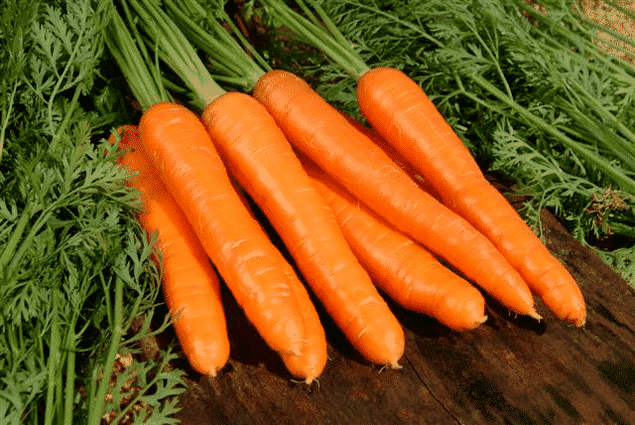 Carrot is a popular folk remedy for the treatment of male potency. 