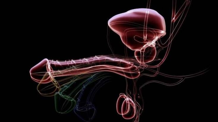 Why discharge occurs when men are aroused and is it normal